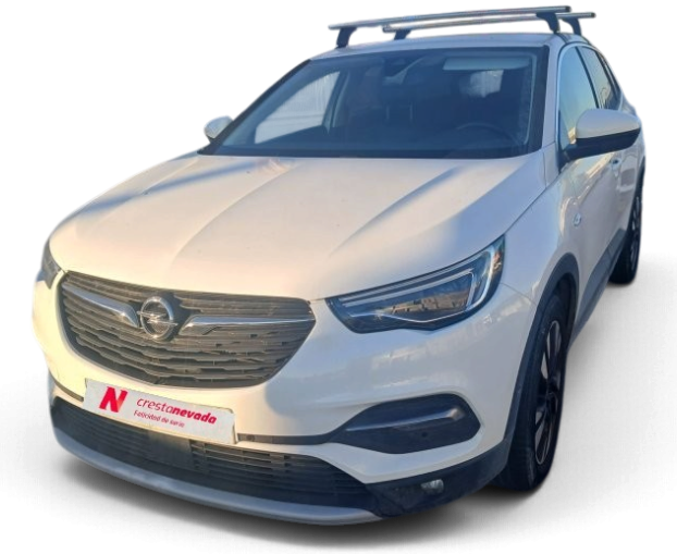Opel Grandland X Diesel 120 CV por 13.990 €