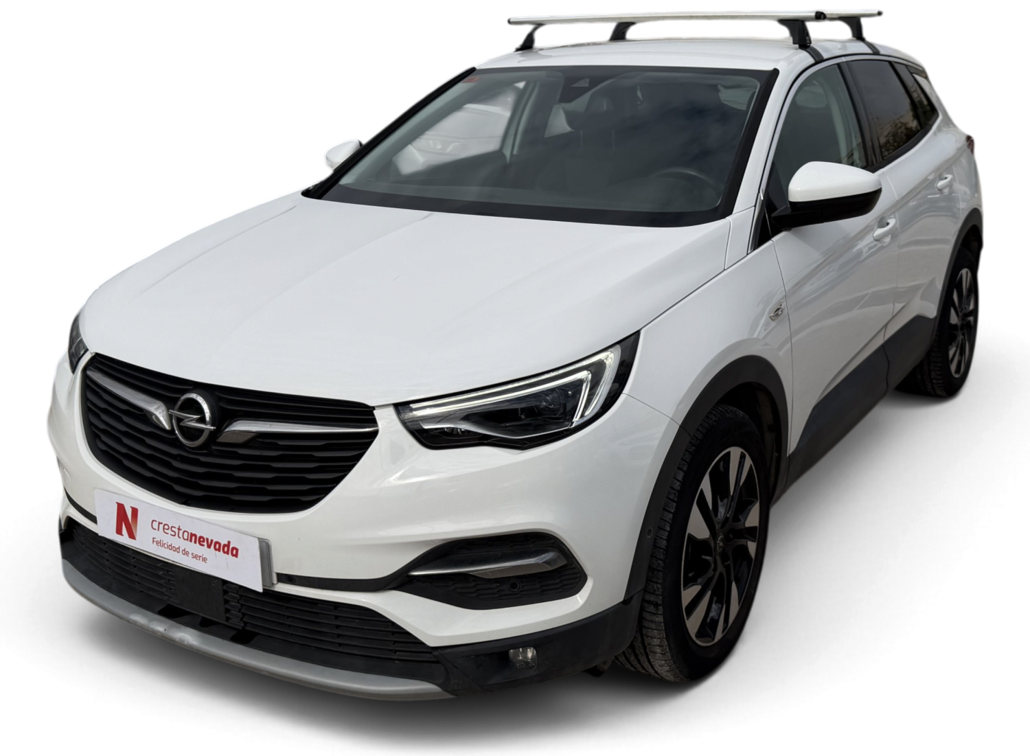 Opel Grandland X Diesel 120 CV por 13.990 €