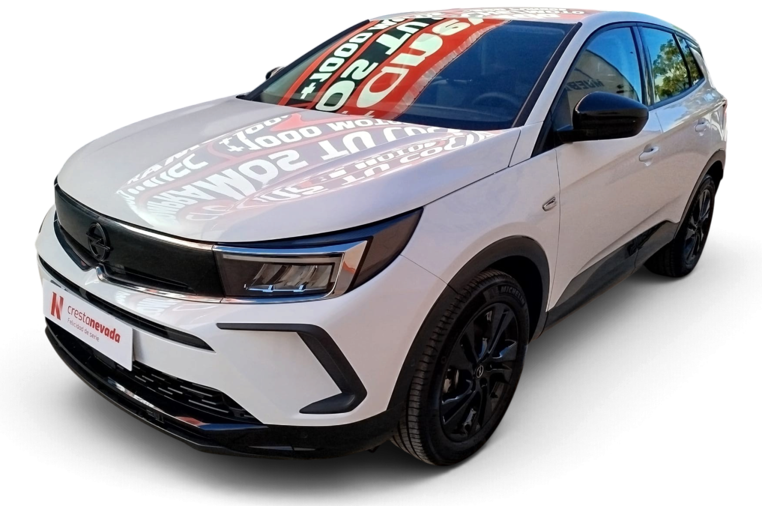 Opel Grandland Gasolina 131 CV por 18.690 €