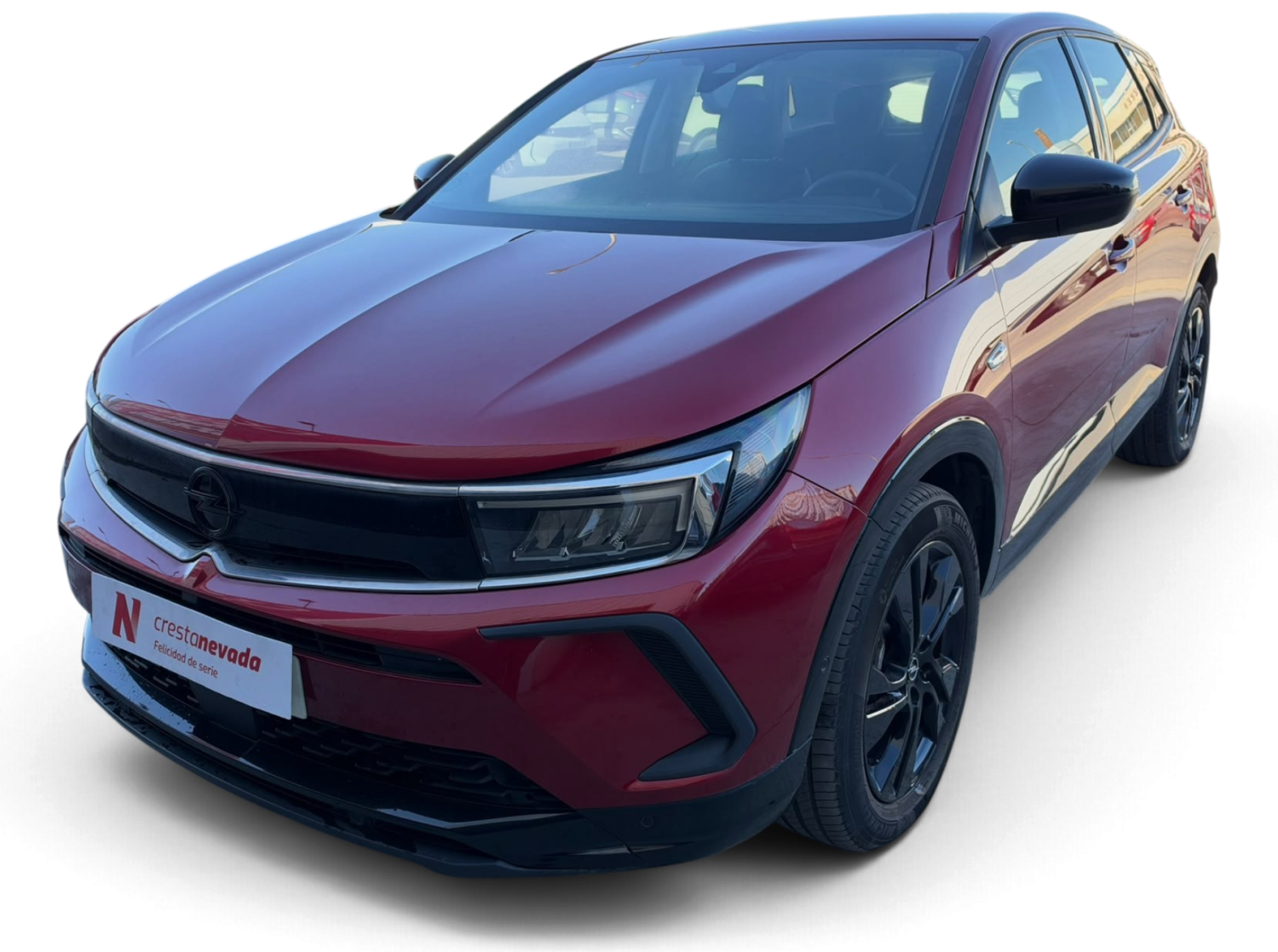 Opel Grandland Gasolina 131 CV por 18.990 €