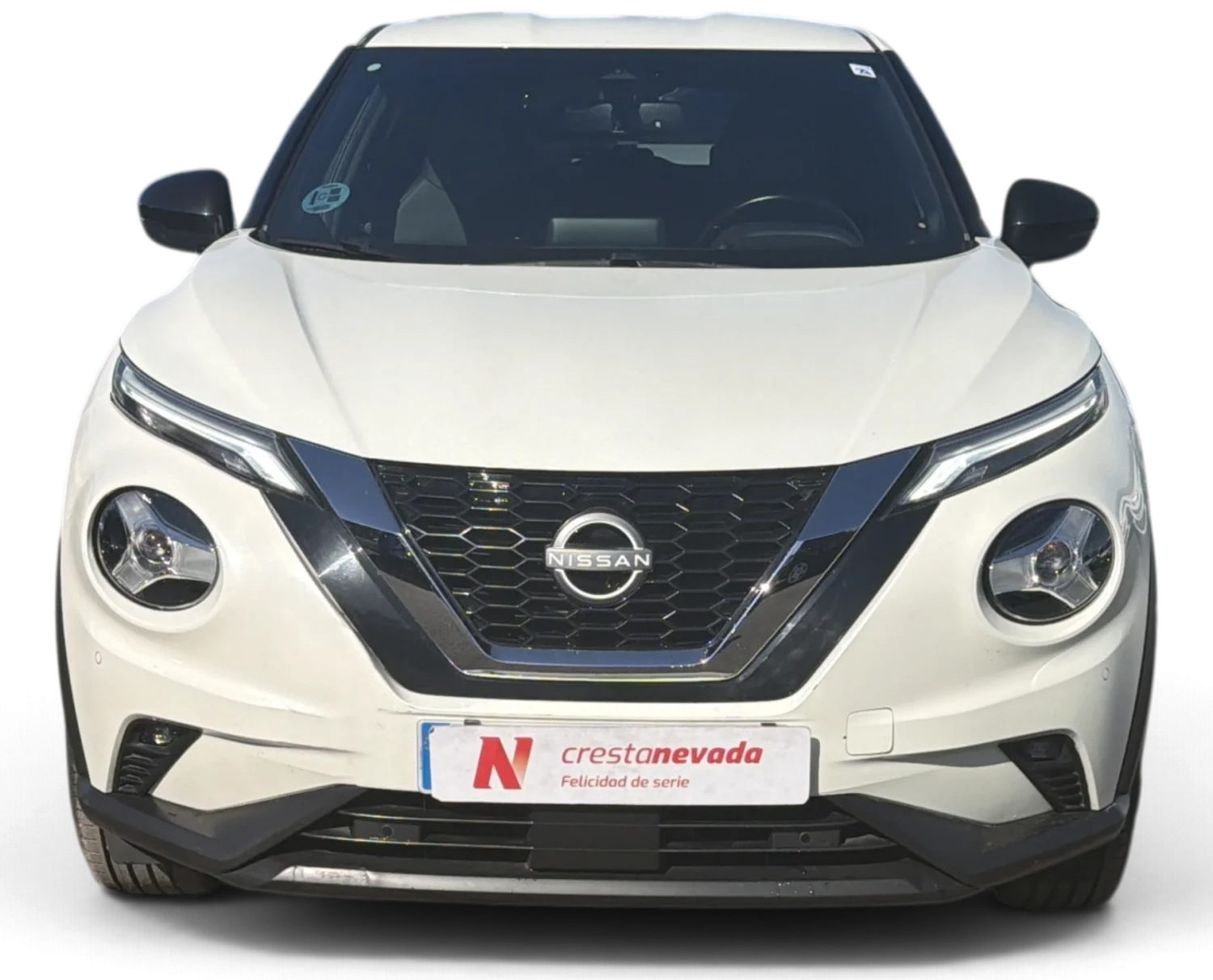 Imagen de NISSAN JUKE