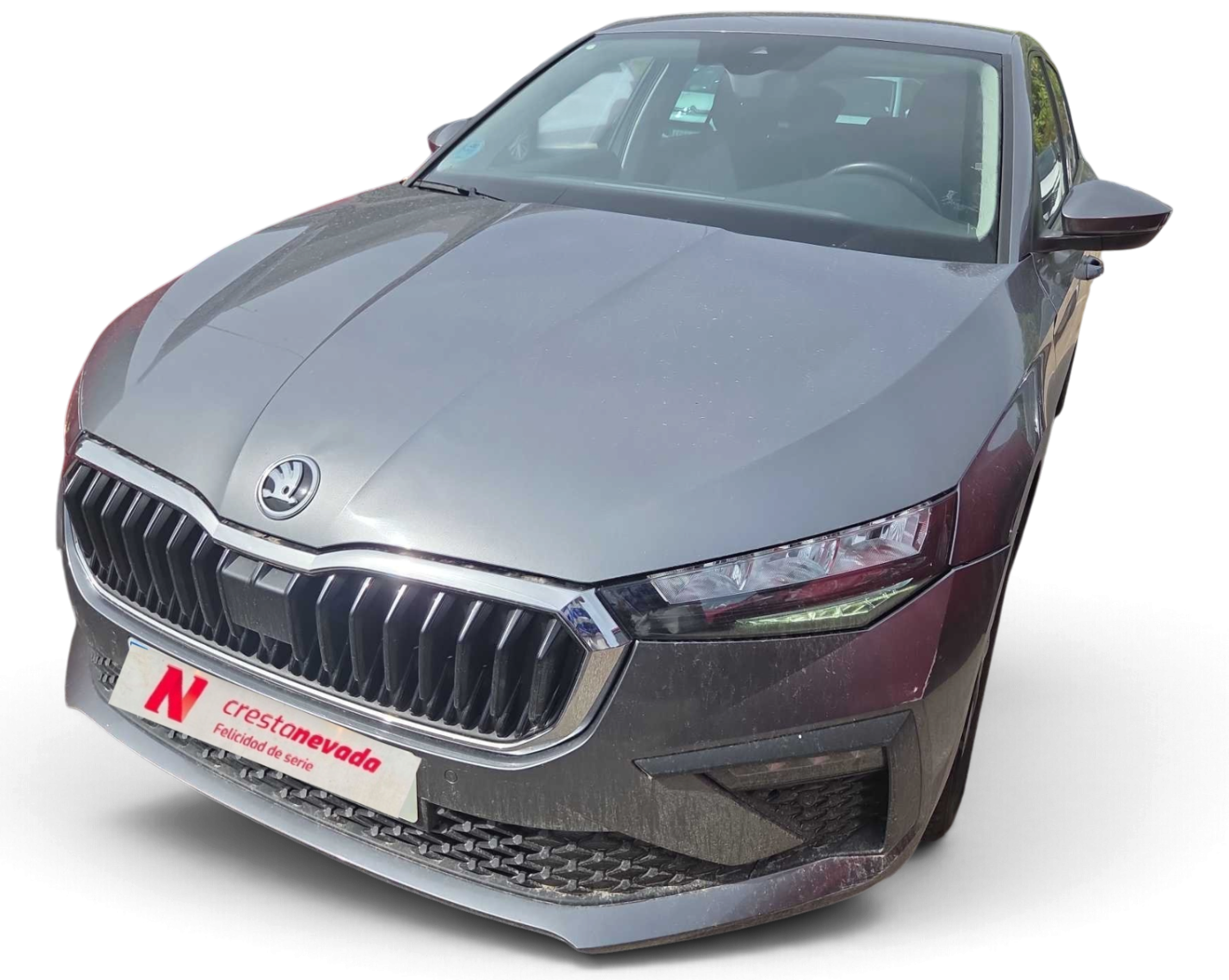 Skoda Scala Gasolina 116 CV por 17.490 €