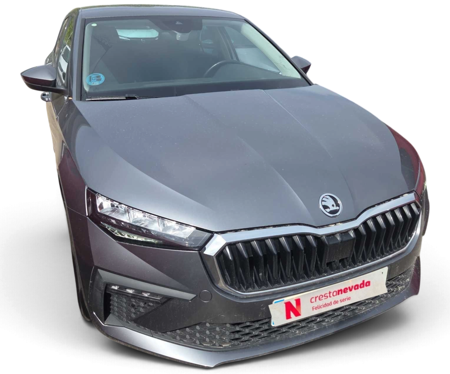 Imagen 2 de Skoda Scala Gasolina 116 CV por 17.490 €