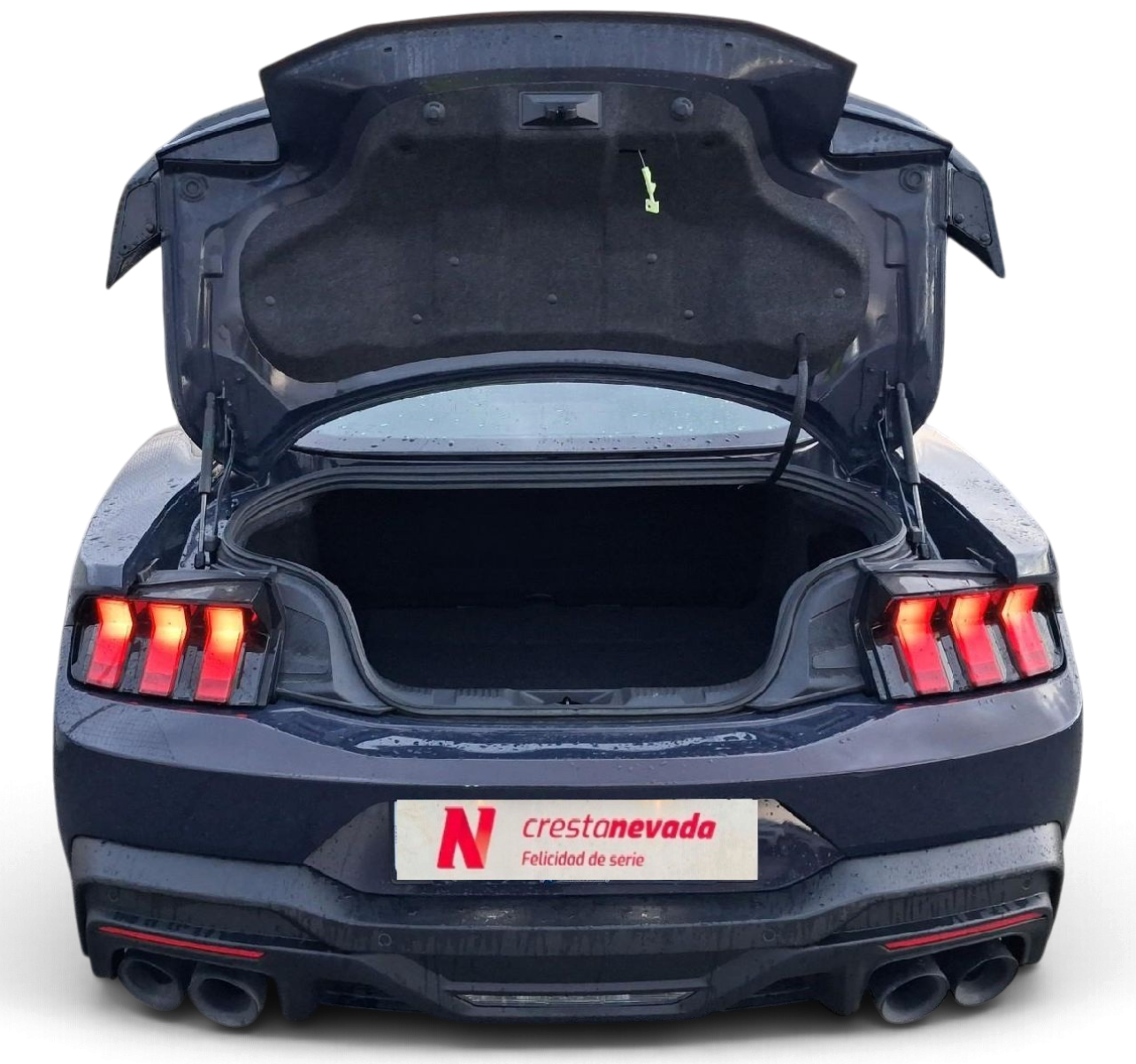 Imagen 3 de Ford Mustang Gasolina 454 CV por 62.990 €