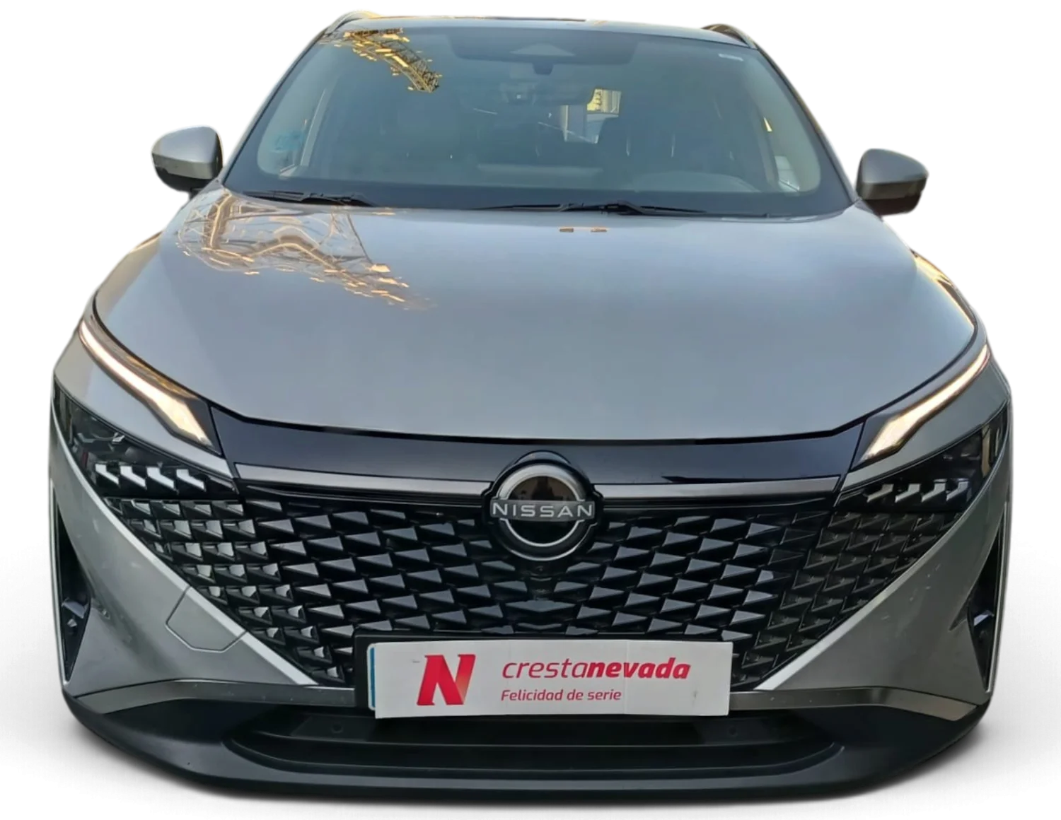 Imagen de NISSAN QASHQAI