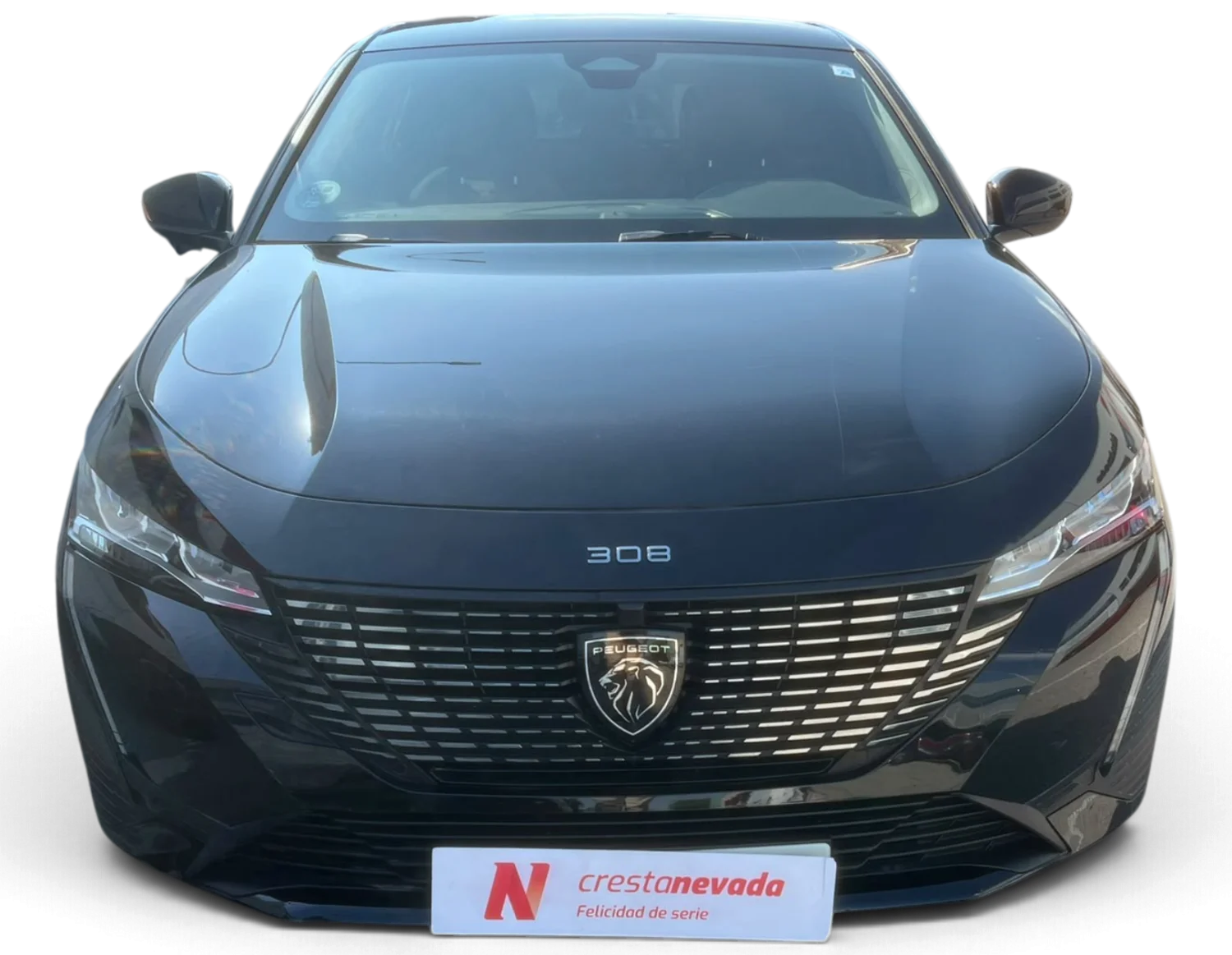 Imagen de Peugeot 308