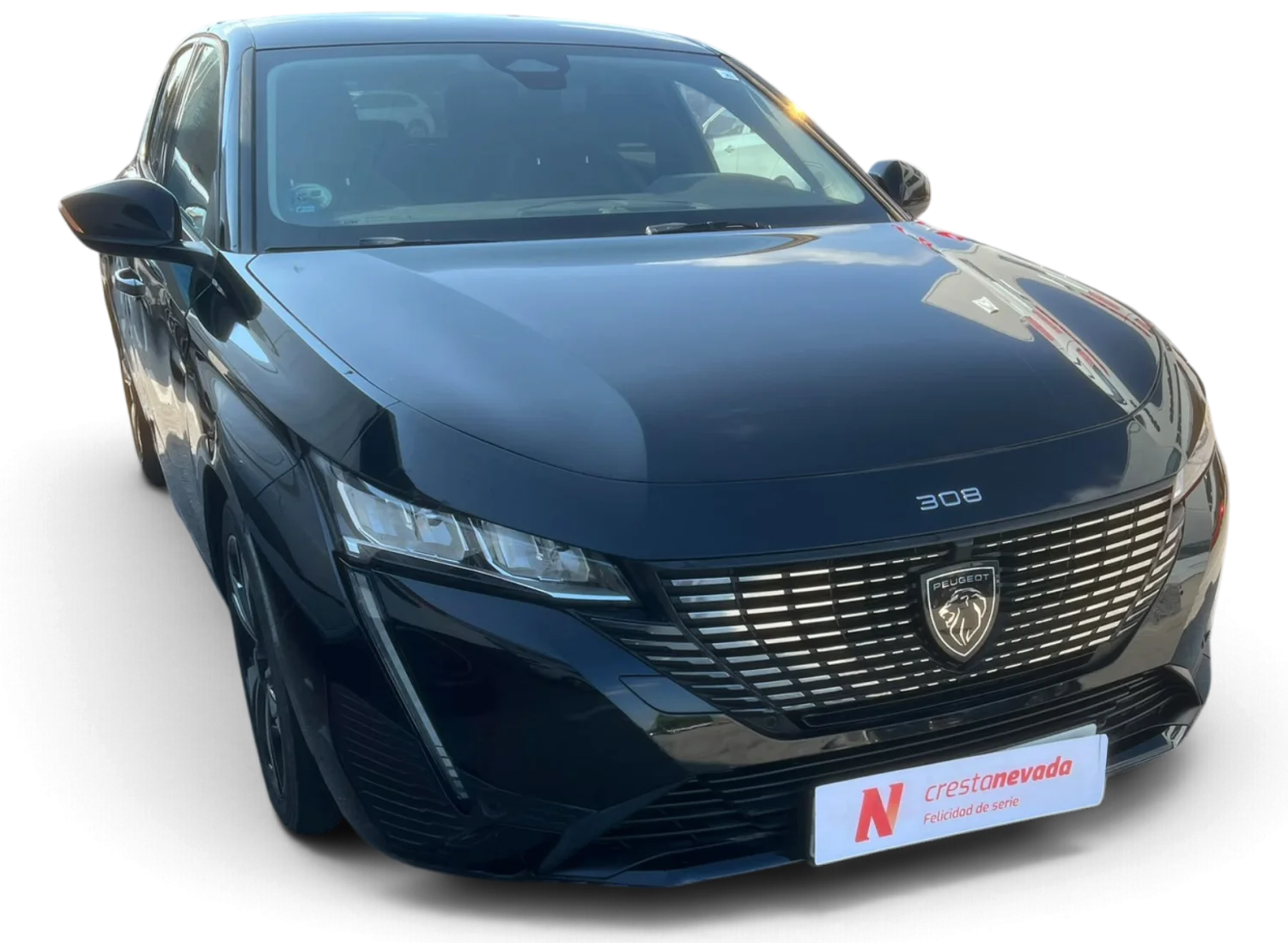 Imagen de Peugeot 308