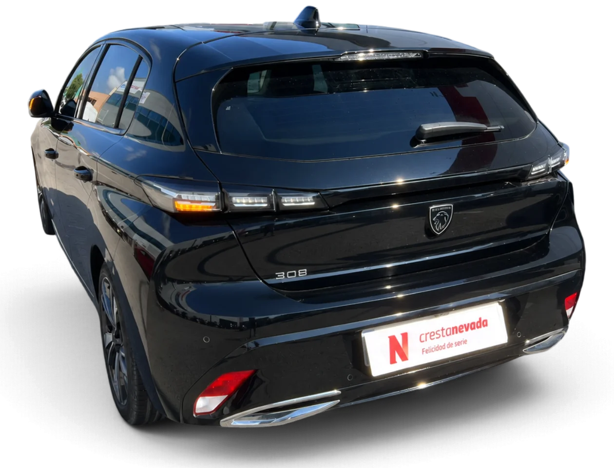 Imagen de Peugeot 308