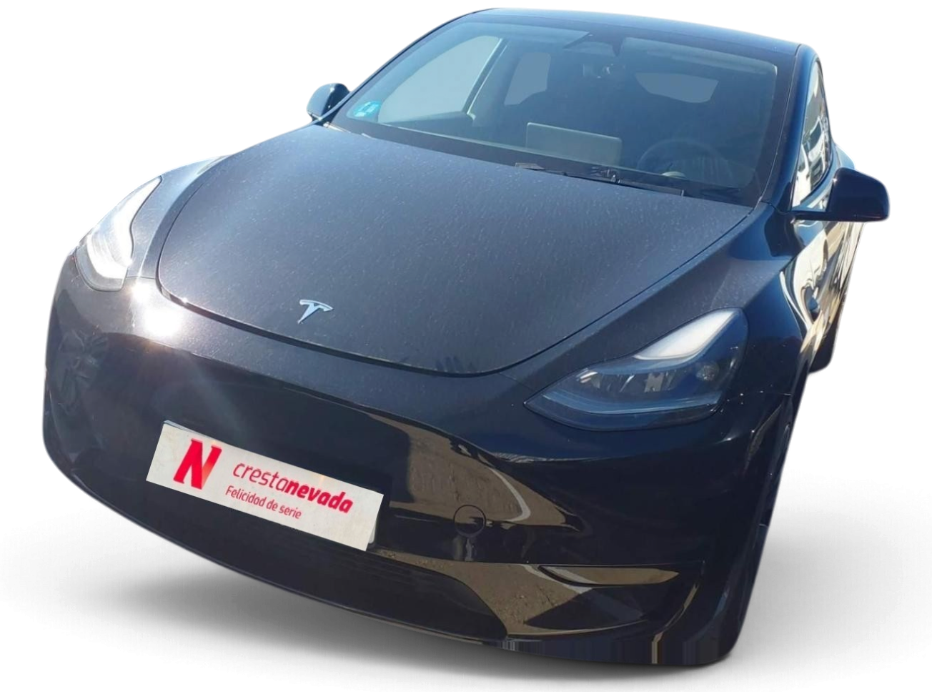 tesla Model Y Electrico 256 CV por 39.490 €