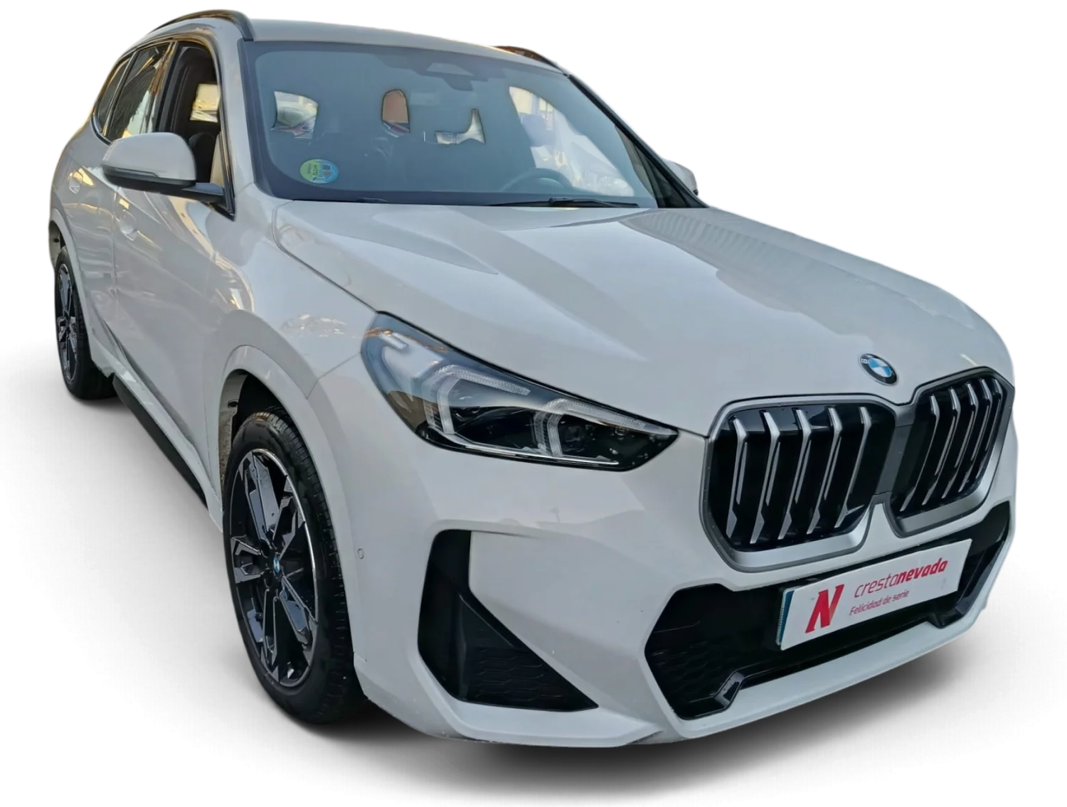 Imagen de BMW X1