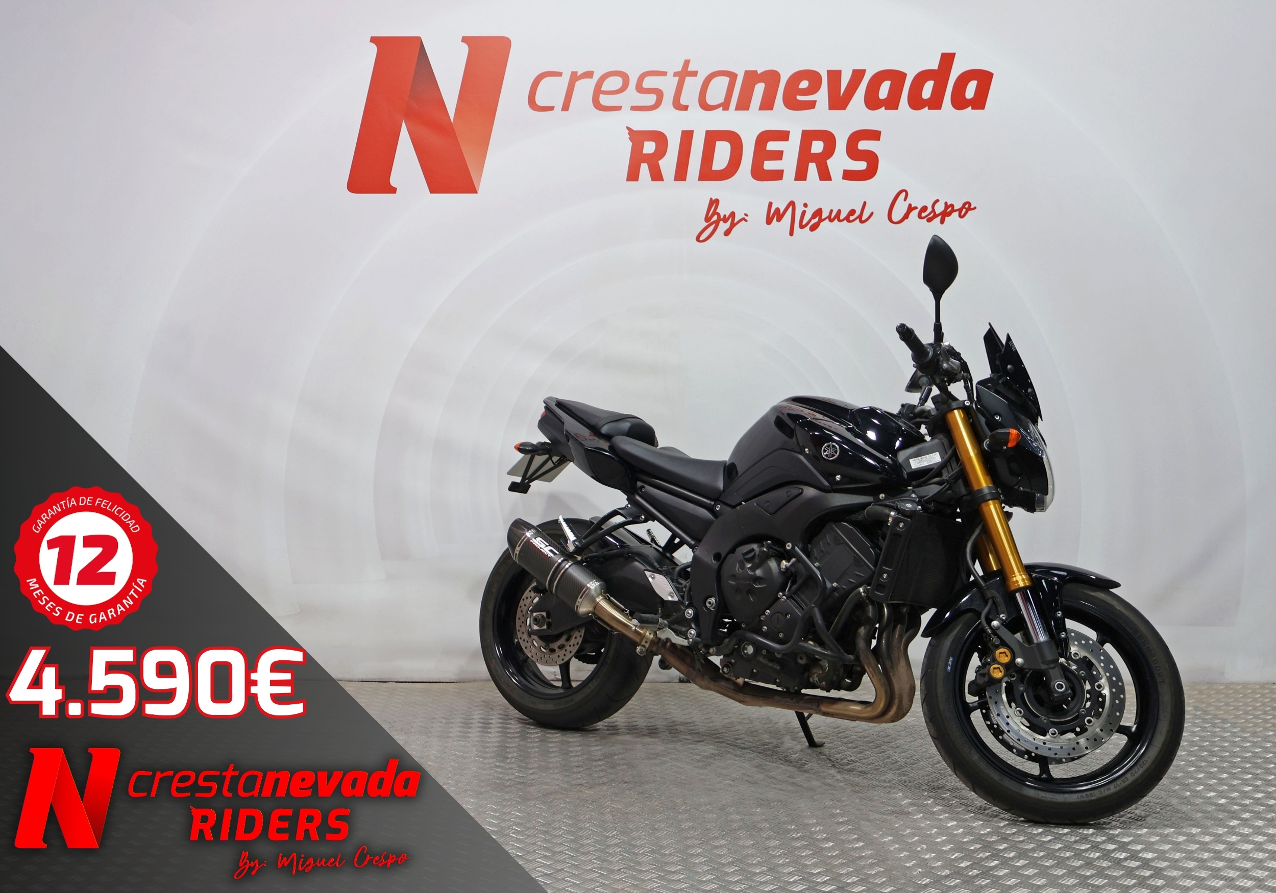 Yamaha FZ8 Gasolina 106 CV por 4.590 €