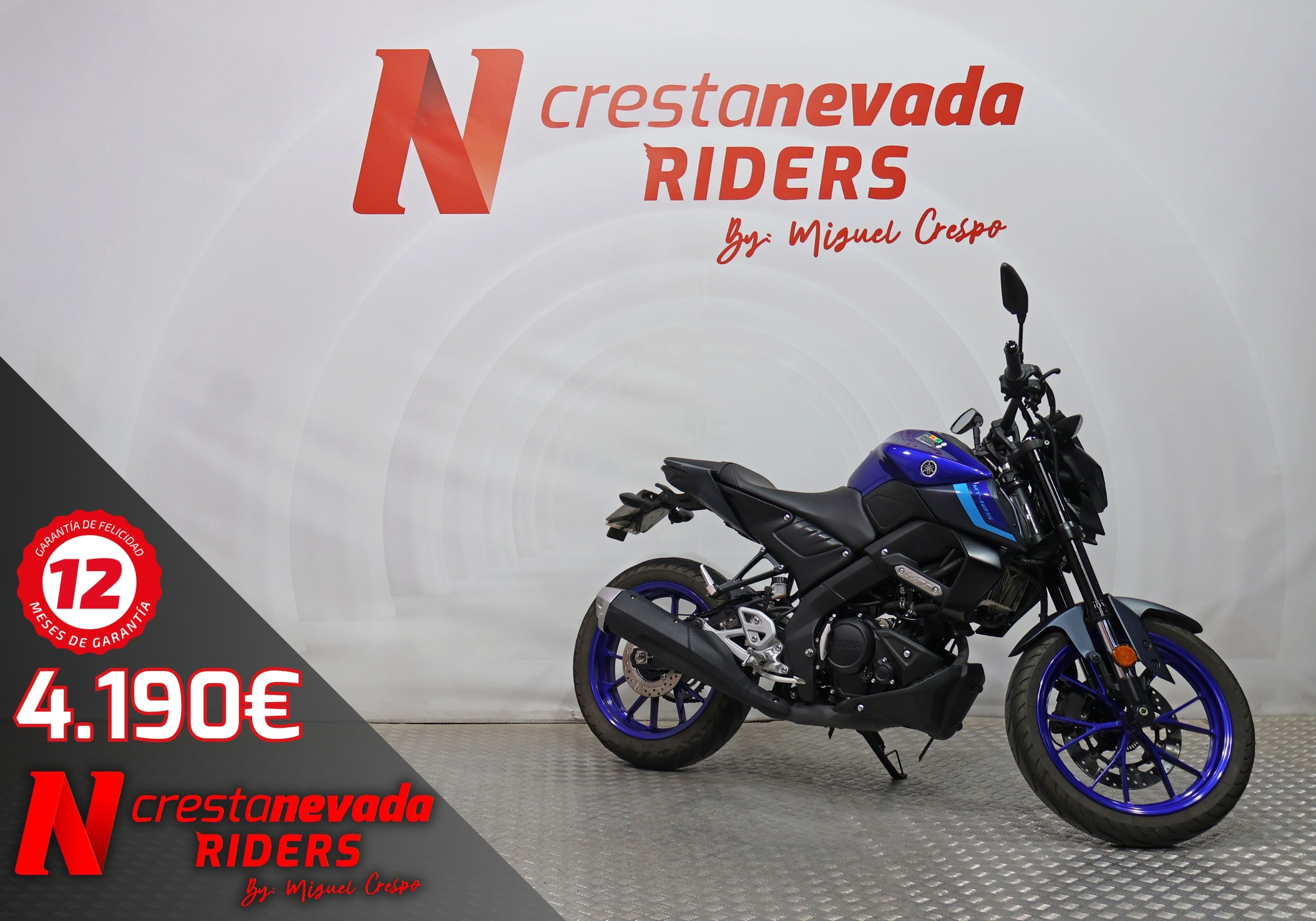 Yamaha MT 125 Gasolina 15 CV por 4.190 €