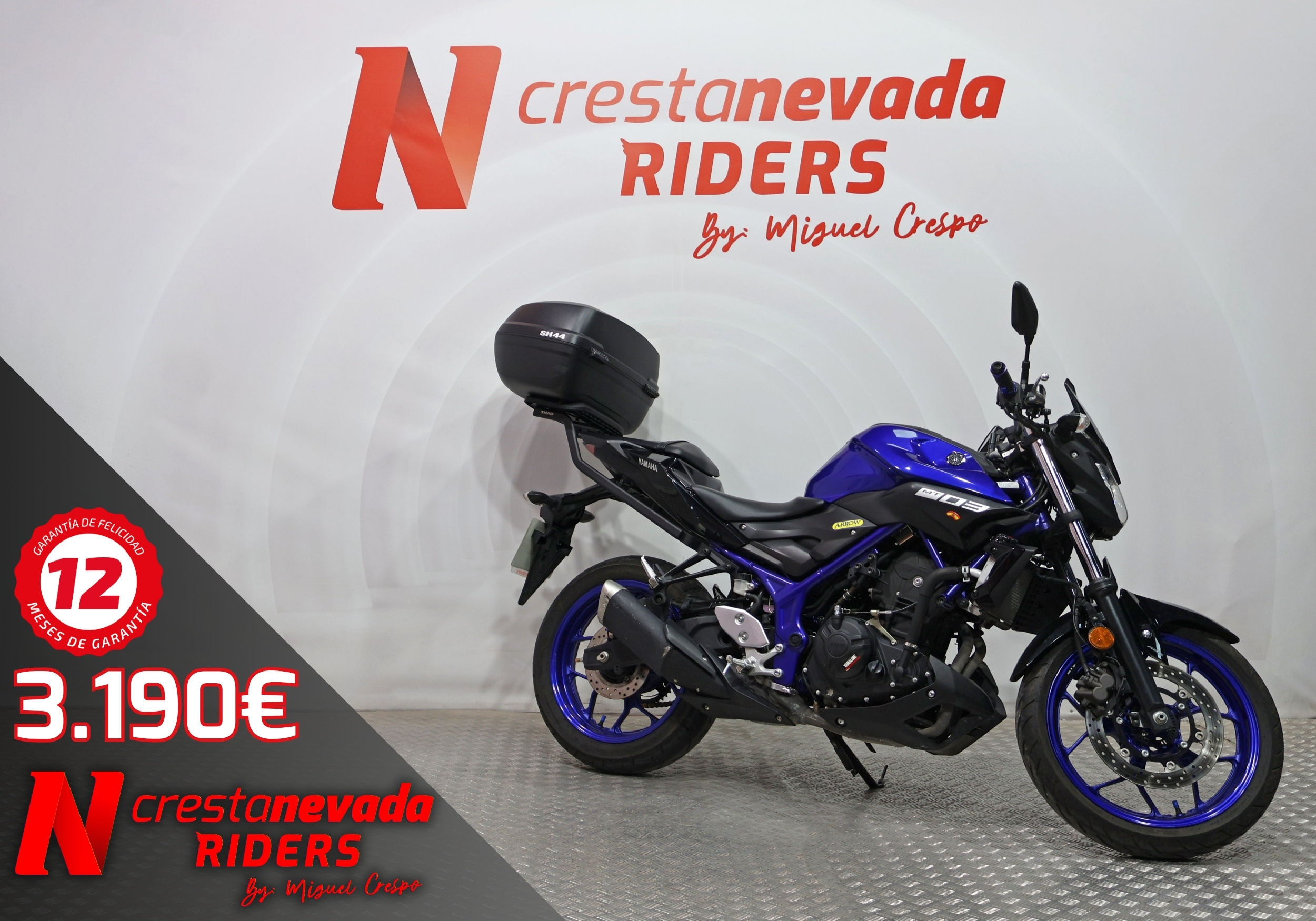 Yamaha MT 03 Gasolina 42 CV por 3.190 €